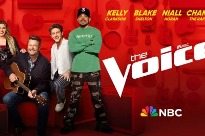 The Voice season 23