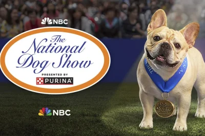 National Dog Show 2023