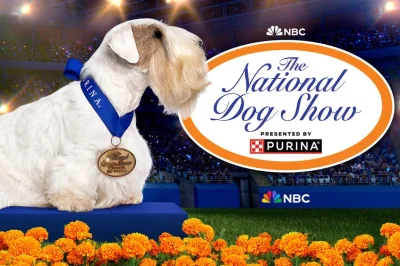 National Dog Show 2024