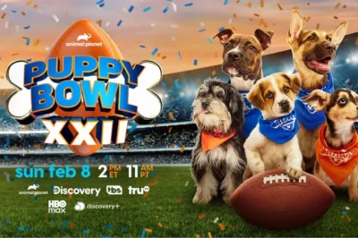 Puppy Bowl 2026